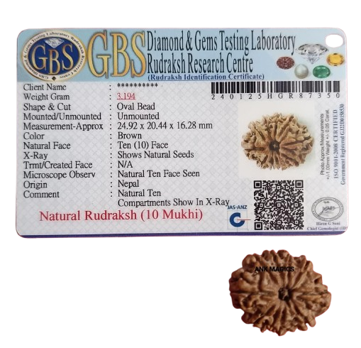 10 MUKHI RUDRAKSH