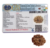10 MUKHI RUDRAKSH
