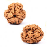 3 MUKHI RUDRAKSH