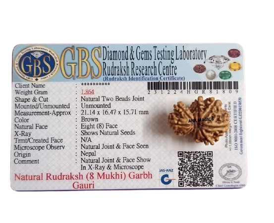 GARBH-GAURI RUDRAKSH