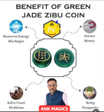 MONEY ZIBU COIN