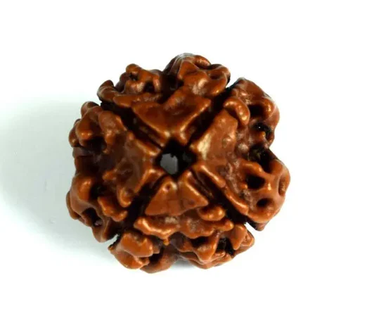 4 MUKHI RUDRAKSH