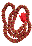 5 MUKHI RUDRAKSH MALA